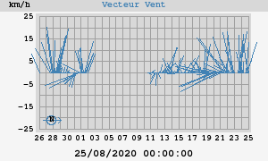 Wind Vector