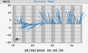 Wind Vector