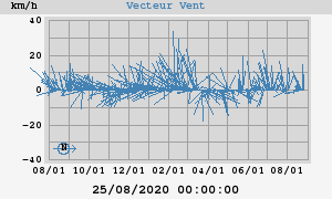 Wind Vector